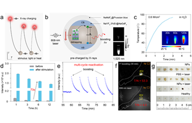 Innovative optothermal-stimulated persistent luminescence nanoparticles for advanced tumor theranostics 2025.100624